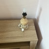 https://cdn-ostrovok-ru-ion.test.edgekey.net/t/100x100/hotel_review/5d/85/5d8539e8b8ff45c7195760090d8e1c38acf57532.JPEG