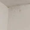 https://cdn-ostrovok-ru-ion.test.edgekey.net/t/100x100/hotel_review/5d/a9/5da96b9caaeba4a671858885e7e4afa4b4910c9d.JPEG
