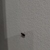 https://cdn-ostrovok-ru-ion.test.edgekey.net/t/100x100/hotel_review/5d/b2/5db2c1d0b912e3e0cf532da4395d3b9f36087866.JPEG