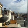 https://cdn-ostrovok-ru-ion.test.edgekey.net/t/100x100/hotel_review/5e/07/5e070a65c8fb2520154673712430b09fe92352d1.jpeg