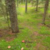 https://cdn-ostrovok-ru-ion.test.edgekey.net/t/100x100/hotel_review/5e/11/5e11fe0f650e376d28411024c9b6b20c2406fb55.JPEG