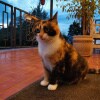 https://cdn-ostrovok-ru-ion.test.edgekey.net/t/100x100/hotel_review/5e/25/5e25455bce655ad55fad52dac37c14c03be97910.JPEG