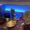 https://cdn-ostrovok-ru-ion.test.edgekey.net/t/100x100/hotel_review/5e/37/5e37d1a410ef500216520437ea01df9386adb919.jpeg