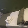 https://cdn-ostrovok-ru-ion.test.edgekey.net/t/100x100/hotel_review/5e/42/5e42a84ad4709948ed1ec301a231d877a09f2ffa.jpeg