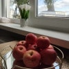 https://cdn-ostrovok-ru-ion.test.edgekey.net/t/100x100/hotel_review/5e/9b/5e9b05e11977ec5b42bd323bf97d88accf0c4067.JPEG