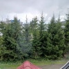 https://cdn-ostrovok-ru-ion.test.edgekey.net/t/100x100/hotel_review/5e/b7/5eb71f6e81dcfa618c828c1c56325ee78c7da8fa.JPEG
