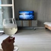 https://cdn-ostrovok-ru-ion.test.edgekey.net/t/100x100/hotel_review/5e/f1/5ef12e56b5cb7cd85efbfcb5ec75c8a3b4ed9436.JPEG