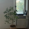 https://cdn-ostrovok-ru-ion.test.edgekey.net/t/100x100/hotel_review/5e/ff/5eff1090e53fe2eaee3556447a58ba03406a1913.JPEG