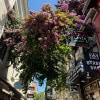 https://cdn-ostrovok-ru-ion.test.edgekey.net/t/100x100/hotel_review/5f/0d/5f0de2bc2ea2245273231fe6fc3f3159f60ab4a9.JPEG