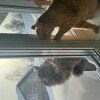 https://cdn-ostrovok-ru-ion.test.edgekey.net/t/100x100/hotel_review/5f/34/5f3449dfe7712c350fd6c07251958c54b17c836a.JPEG