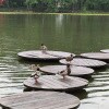 https://cdn-ostrovok-ru-ion.test.edgekey.net/t/100x100/hotel_review/5f/9f/5f9ffdb1aa3fac15dad8cd3e00acd54dfefdebdc.JPEG