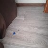 https://cdn-ostrovok-ru-ion.test.edgekey.net/t/100x100/hotel_review/60/06/6006582f5936d4d4c0201333c8ed7bad9ba83bb8.JPEG