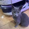 https://cdn-ostrovok-ru-ion.test.edgekey.net/t/100x100/hotel_review/60/2d/602d28c1a8b236557475ffb781c4627730f3e9b0.JPEG