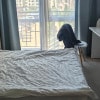 https://cdn-ostrovok-ru-ion.test.edgekey.net/t/100x100/hotel_review/60/9b/609be3d2f3184e724371b9e138aa42ccac3b86a7.JPEG