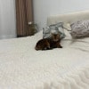 https://cdn-ostrovok-ru-ion.test.edgekey.net/t/100x100/hotel_review/60/bd/60bdf43c87a289d7d14804982ddfd91ad713cd3d.JPEG