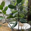 https://cdn-ostrovok-ru-ion.test.edgekey.net/t/100x100/hotel_review/60/d8/60d8edfa8451eeae1bbfd914d4e40be7eeeee4dd.JPEG