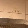 https://cdn-ostrovok-ru-ion.test.edgekey.net/t/100x100/hotel_review/61/1e/611e3255578748e435b667af13bc2106019a27de.JPEG