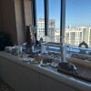 https://cdn-ostrovok-ru-ion.test.edgekey.net/t/100x100/hotel_review/61/40/6140662138639aa0dbf12cf1c0adf5f190504571.JPEG