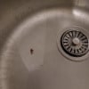 https://cdn-ostrovok-ru-ion.test.edgekey.net/t/100x100/hotel_review/61/79/617935b3dbf32193735773ab859e117f6e078b25.jpeg