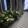 https://cdn-ostrovok-ru-ion.test.edgekey.net/t/100x100/hotel_review/61/a3/61a3135b074c88f9378c8f5b0bd7db23ccaa3750.JPEG