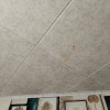https://cdn-ostrovok-ru-ion.test.edgekey.net/t/100x100/hotel_review/61/eb/61eb24a7685daf26797870a9bb3e7156db608b7e.JPEG