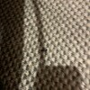 https://cdn-ostrovok-ru-ion.test.edgekey.net/t/100x100/hotel_review/61/f8/61f8d061c768e0ed7a922fa0e447726f0c569492.JPEG