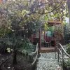 https://cdn-ostrovok-ru-ion.test.edgekey.net/t/100x100/hotel_review/62/08/6208d14a84d64a5a55cbff6b69eb36afd8a96f7a.JPEG