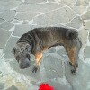 https://cdn-ostrovok-ru-ion.test.edgekey.net/t/100x100/hotel_review/62/2d/622dd7ff17cddc1d7159ca5493d9e8c56d177746.JPEG