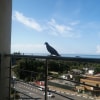 https://cdn-ostrovok-ru-ion.test.edgekey.net/t/100x100/hotel_review/62/44/6244ab4403826e5cc25b3db24c50f44d3e58e004.JPEG