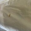 https://cdn-ostrovok-ru-ion.test.edgekey.net/t/100x100/hotel_review/62/51/62519c10915f45095934992dd4368e5423ad89d5.JPEG