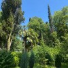 https://cdn-ostrovok-ru-ion.test.edgekey.net/t/100x100/hotel_review/62/5f/625fffdc19fdfa9afee327811286c045098daebf.JPEG