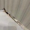 https://cdn-ostrovok-ru-ion.test.edgekey.net/t/100x100/hotel_review/62/6c/626cc9e253dbfd59520f3b13b37fec3ca9f5fd69.JPEG