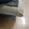 https://cdn-ostrovok-ru-ion.test.edgekey.net/t/100x100/hotel_review/62/6e/626e23128fae8b366cfe744eb6f0dc2cf9994aa2.JPEG