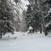 https://cdn-ostrovok-ru-ion.test.edgekey.net/t/100x100/hotel_review/62/86/6286cce788c1b90fabe7c77267c3b1994d1d28d1.JPEG