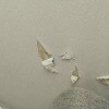 https://cdn-ostrovok-ru-ion.test.edgekey.net/t/100x100/hotel_review/62/8d/628d96c2f70f31cb15f9c00678ad521b4acace15.JPEG