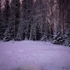 https://cdn-ostrovok-ru-ion.test.edgekey.net/t/100x100/hotel_review/62/e3/62e35dce2be4e27678528f8cd28526f079bce736.jpeg