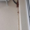 https://cdn-ostrovok-ru-ion.test.edgekey.net/t/100x100/hotel_review/63/70/63706859f90b008095a8045ef4d6bd9edb92a5a4.jpeg