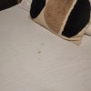 https://cdn-ostrovok-ru-ion.test.edgekey.net/t/100x100/hotel_review/63/7d/637dfb870e45775bbb70e82605ce11acf6c0ec0d.jpeg