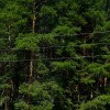 https://cdn-ostrovok-ru-ion.test.edgekey.net/t/100x100/hotel_review/63/c1/63c1ee6989d6b6bc1ec4b0ea1c97a0dc1e487287.JPEG