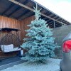 https://cdn-ostrovok-ru-ion.test.edgekey.net/t/100x100/hotel_review/63/e1/63e15d36e465372163dfa7ebdb9e34c387ee452d.JPEG
