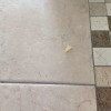 https://cdn-ostrovok-ru-ion.test.edgekey.net/t/100x100/hotel_review/63/ee/63ee150c7a66d787fba47d2a48a4e31412692df3.JPEG
