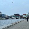 https://cdn-ostrovok-ru-ion.test.edgekey.net/t/100x100/hotel_review/63/f4/63f4cbccd16eb24917eafef131e46b0a1559a6d4.JPEG