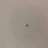 https://cdn-ostrovok-ru-ion.test.edgekey.net/t/100x100/hotel_review/64/2e/642ea8cc2320f7c1f77b5231620530cf8949595b.jpeg