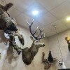 https://cdn-ostrovok-ru-ion.test.edgekey.net/t/100x100/hotel_review/64/55/64552ba4fe63e1774a206efd8fa1ca61123708f5.JPEG