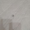 https://cdn-ostrovok-ru-ion.test.edgekey.net/t/100x100/hotel_review/64/6d/646d22910e719cd7a2453e3ef2dd11ae9665d681.jpeg