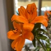 https://cdn-ostrovok-ru-ion.test.edgekey.net/t/100x100/hotel_review/64/93/6493cacbb6a72534982c1a6645597fdaa5bc5b04.JPEG