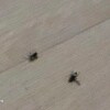 https://cdn-ostrovok-ru-ion.test.edgekey.net/t/100x100/hotel_review/64/cf/64cfbe6d9b7117f6a24e3a4bf64c8584a87f6cd7.JPEG