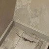 https://cdn-ostrovok-ru-ion.test.edgekey.net/t/100x100/hotel_review/64/d9/64d94c836c0b0dc07c7d3d6f762dde2175429671.JPEG