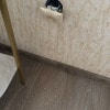 https://cdn-ostrovok-ru-ion.test.edgekey.net/t/100x100/hotel_review/65/15/65151e8a732221aac034e937dc34cd65fbae4e83.JPEG