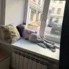 https://cdn-ostrovok-ru-ion.test.edgekey.net/t/100x100/hotel_review/65/30/65304acb6bec9f99beb7c391bae65d7000854de6.JPEG